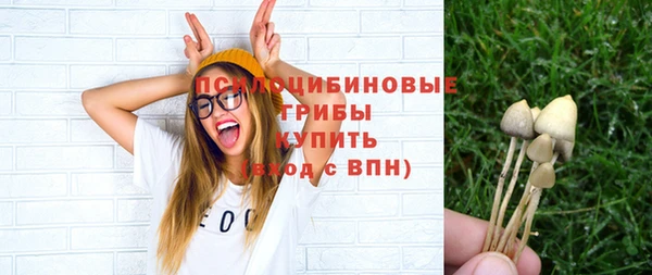 эйфоретик Заволжье