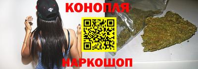 spice Гатчина
