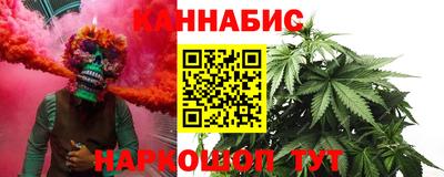 прущие грибы Можга