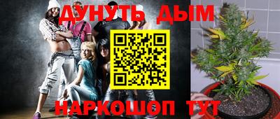 молекула духа Кандалакша