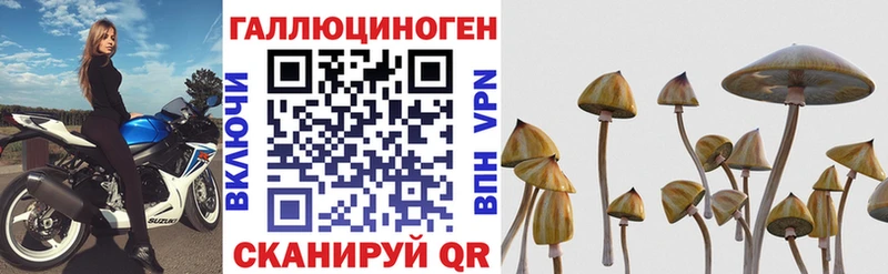 Галлюциногенные грибы прущие грибы  Краснодар 