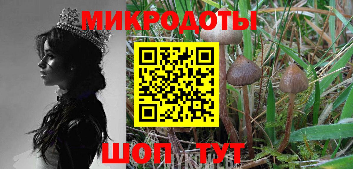 Галлюциногенные грибы Magic Shrooms Россия
