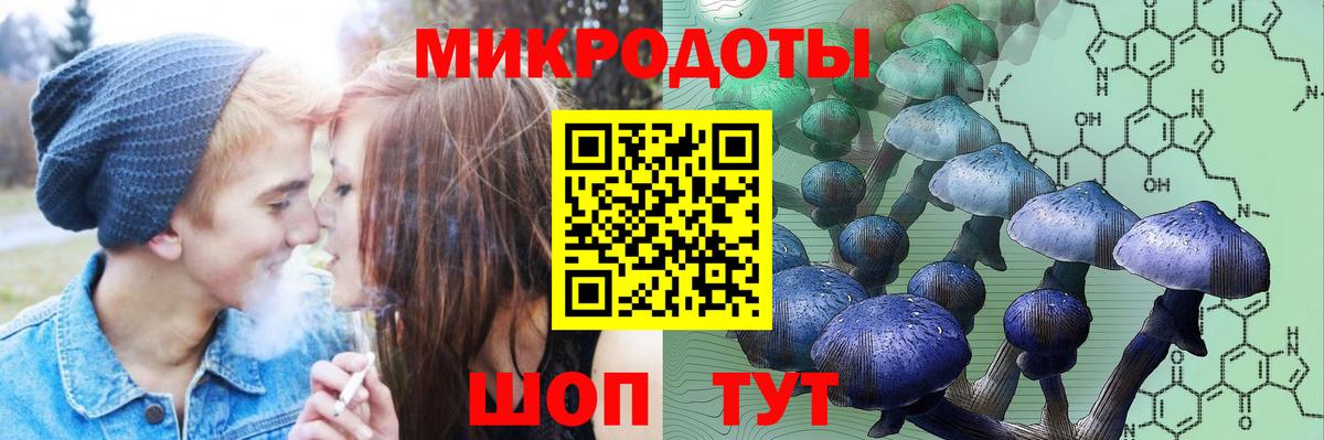 Галлюциногенные грибы Psilocybine cubensis  Россия  Псилоцибиновые грибы Psilocybine cubensis 