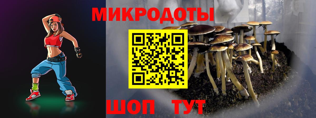 Псилоцибиновые грибы ЛСД  Вход с VPN  Россия 