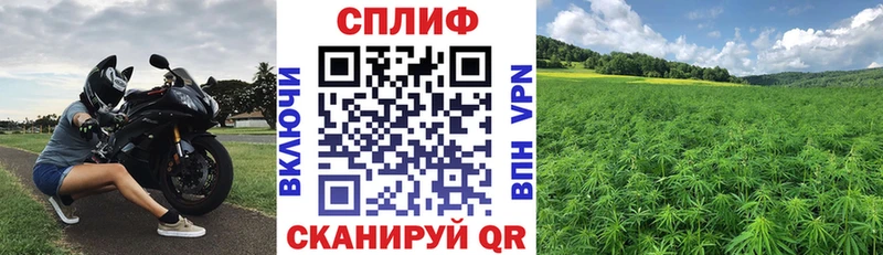 Бошки марихуана Ganja  Краснодар 